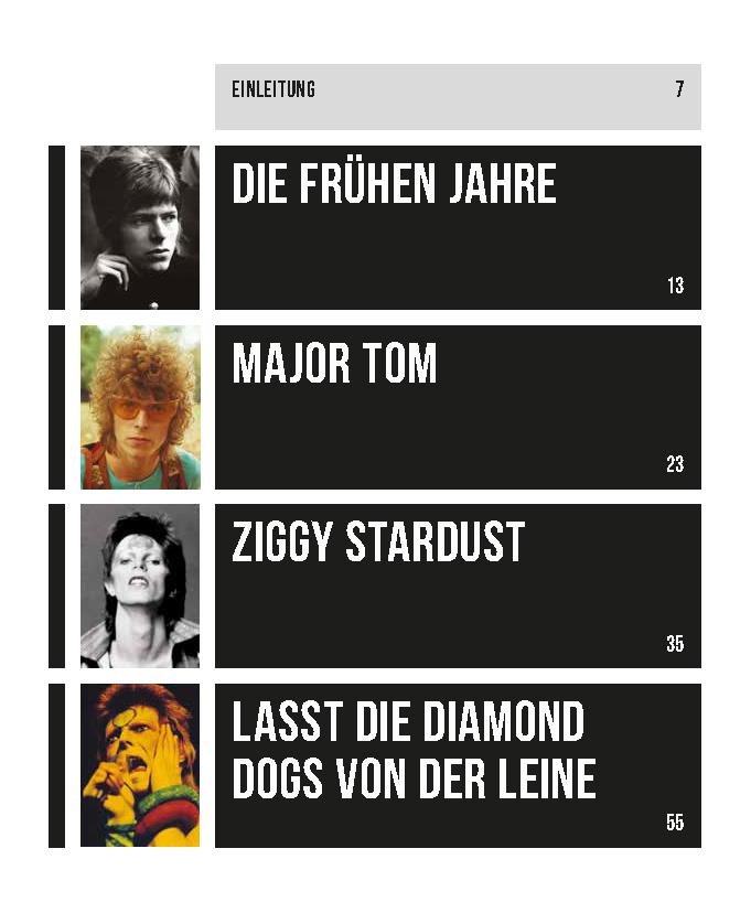 Beispielinhalt (Bild) David Bowie