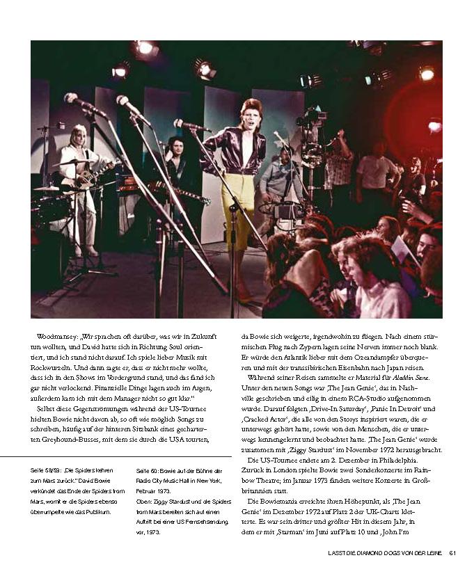 Beispielinhalt (Bild) David Bowie