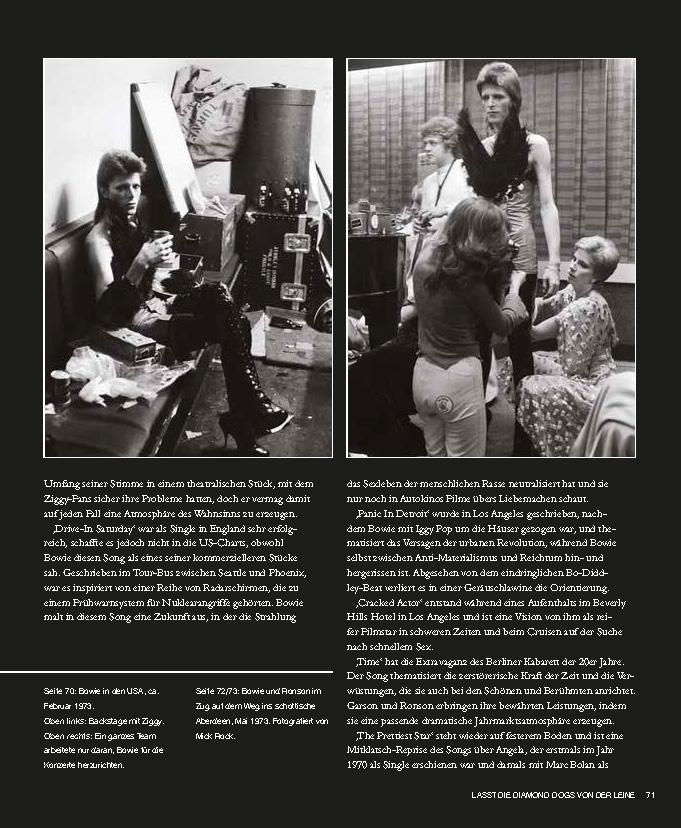 Beispielinhalt (Bild) David Bowie