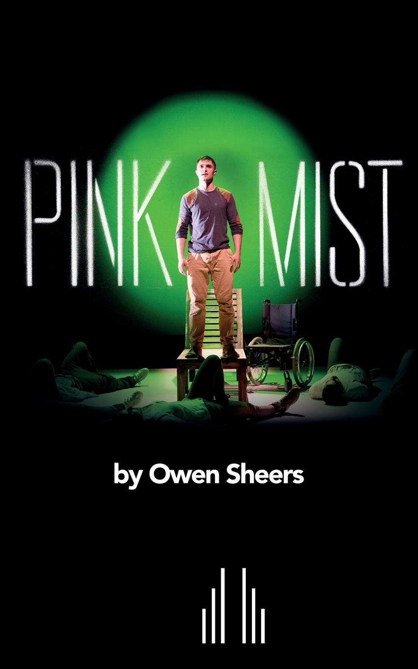Vorderes Coverbild Pink Mist