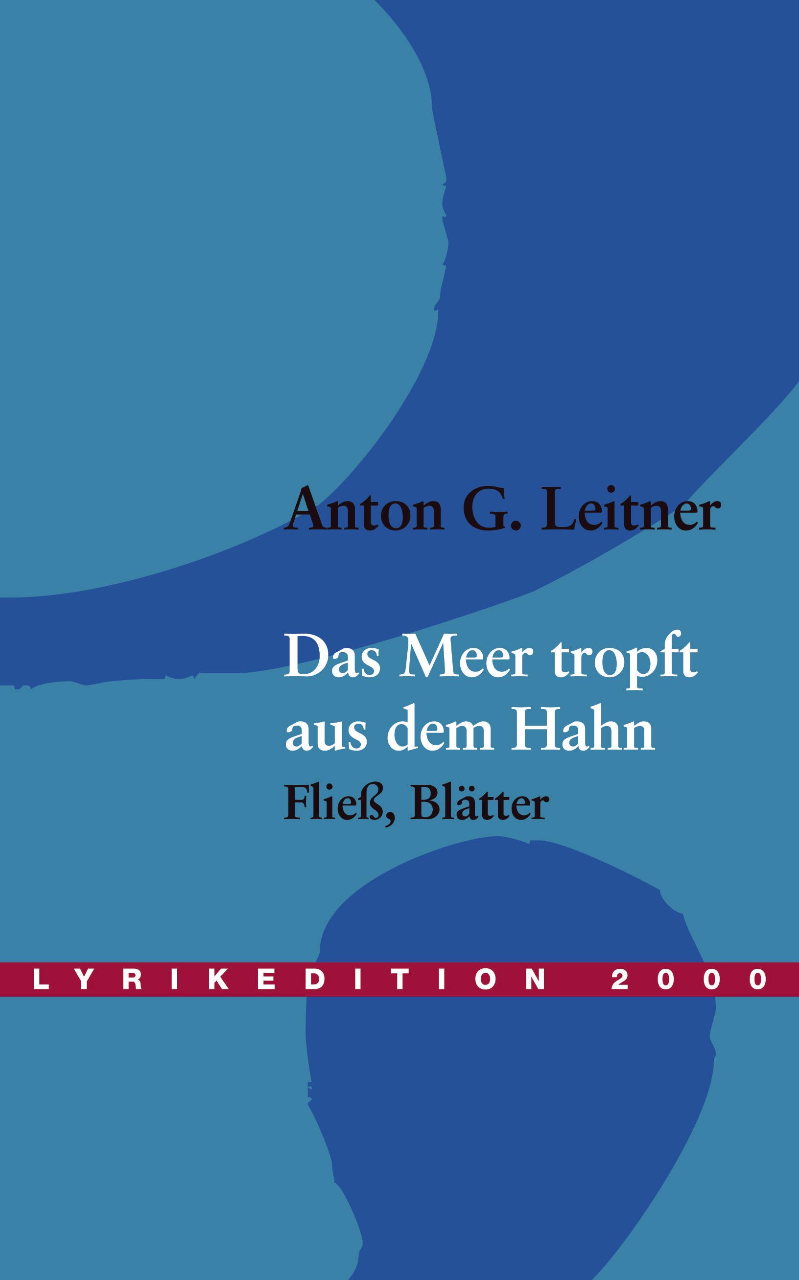 Vorderes Coverbild Das Meer tropft aus dem Hahn