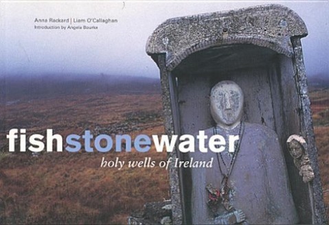 Vorderes Coverbild Fish Stone Water: The Holy Wells of Ireland