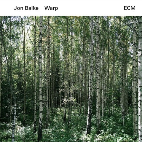 Vorderes Coverbild Warp