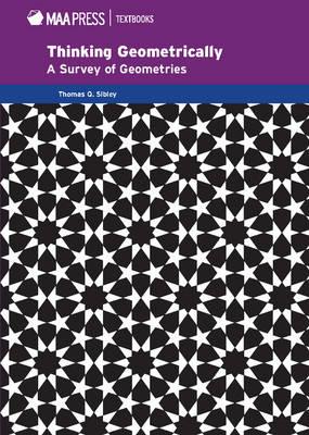 Vorderes Coverbild Thinking Geometrically