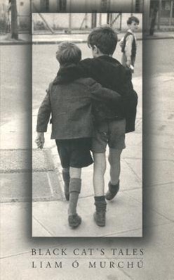 Vorderes Coverbild Black Cat's Tales