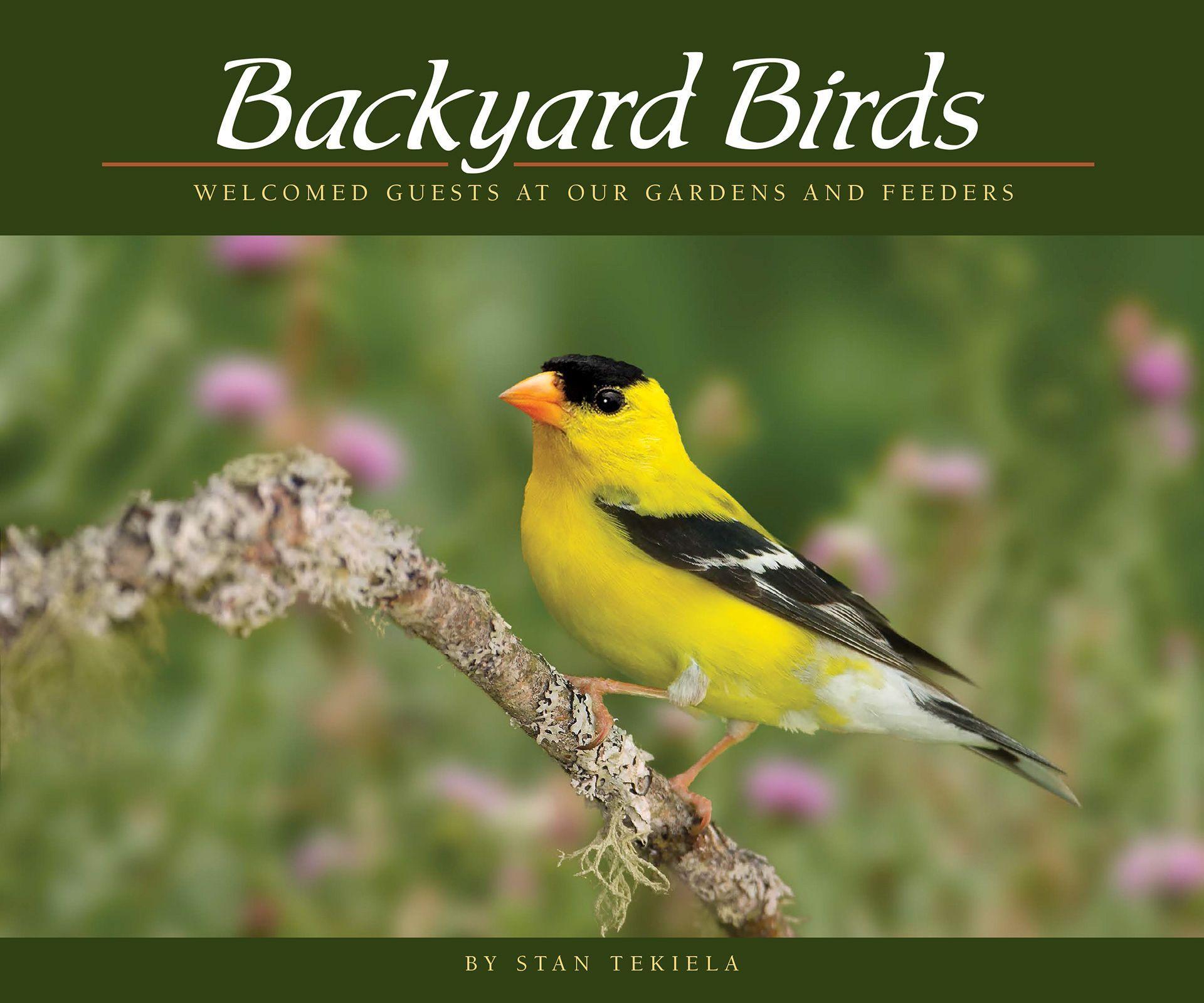 Vorderes Coverbild Backyard Birds
