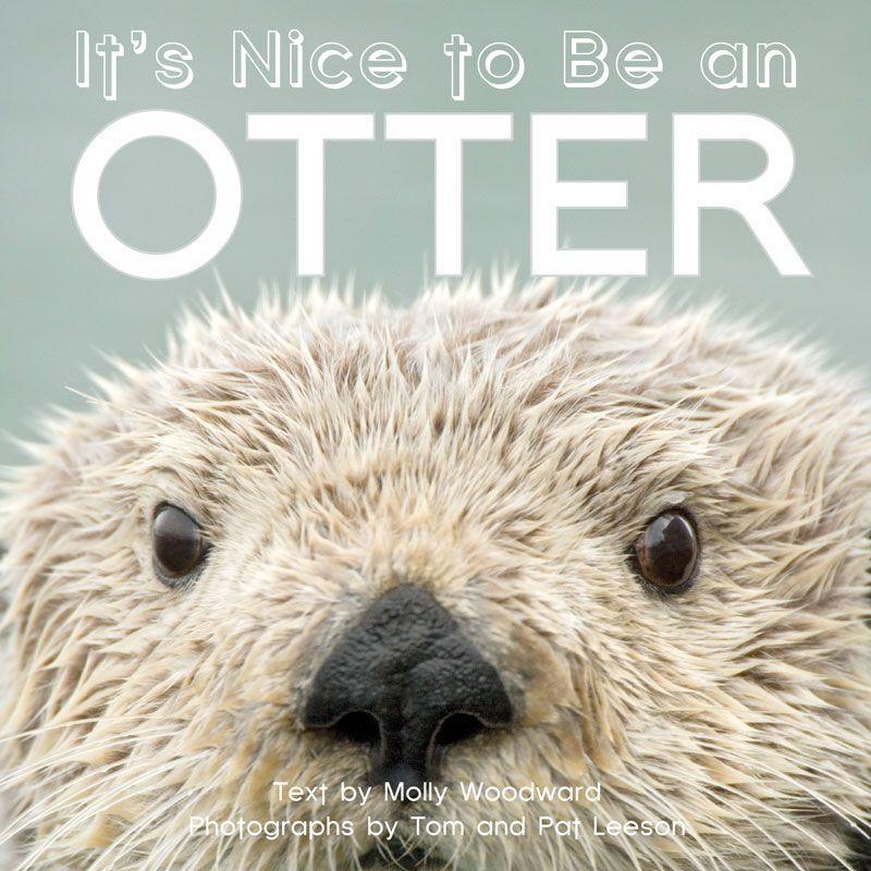 Vorderes Coverbild It's Nice to Be an Otter