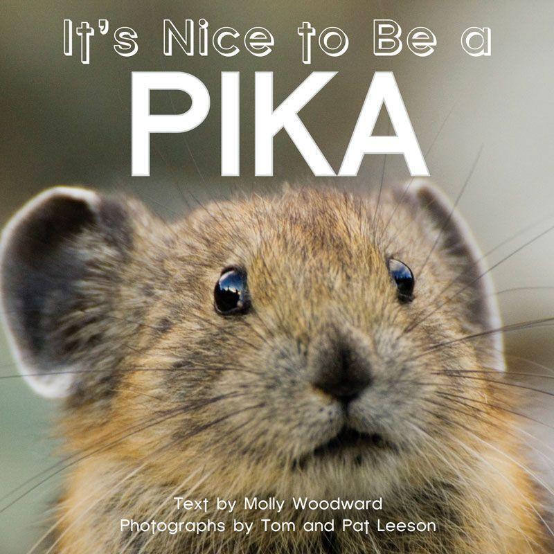 Vorderes Coverbild It's Nice to Be a Pika