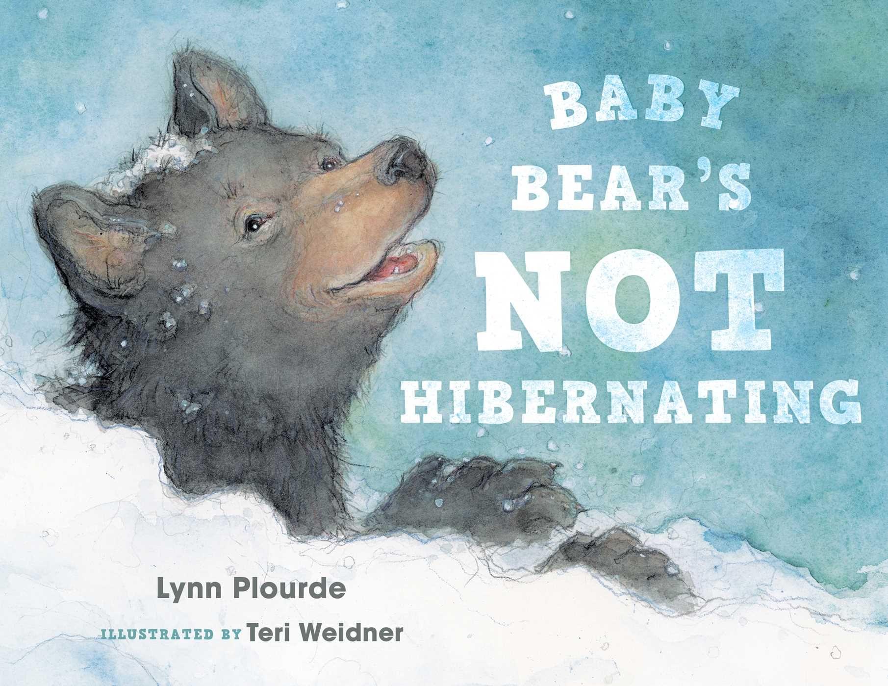 Vorderes Coverbild Baby Bear's Not Hibernating