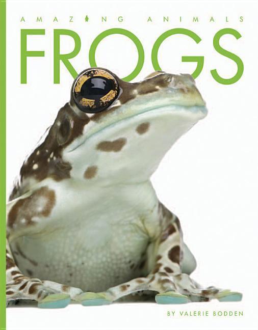 Vorderes Coverbild Frogs