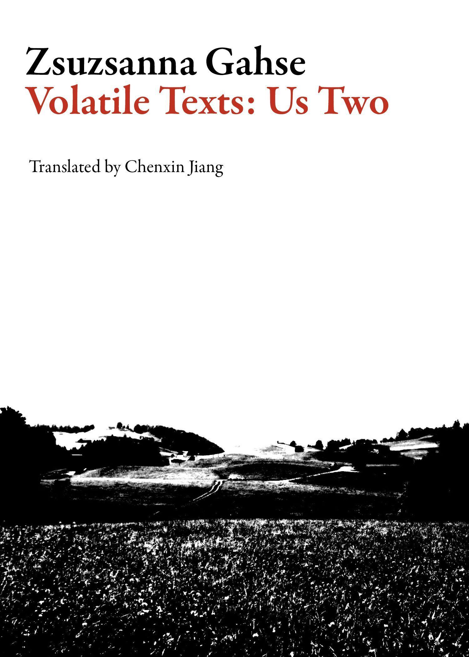Vorderes Coverbild Volatile Texts