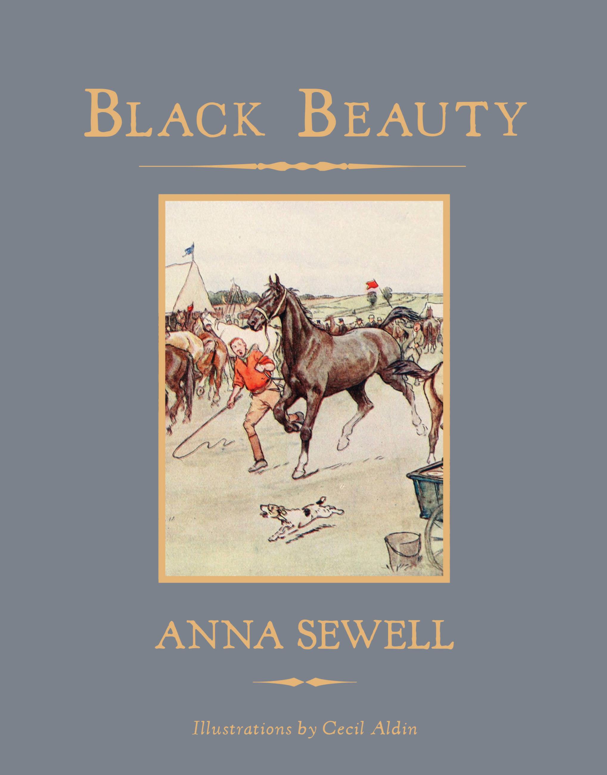 Vorderes Coverbild Black Beauty