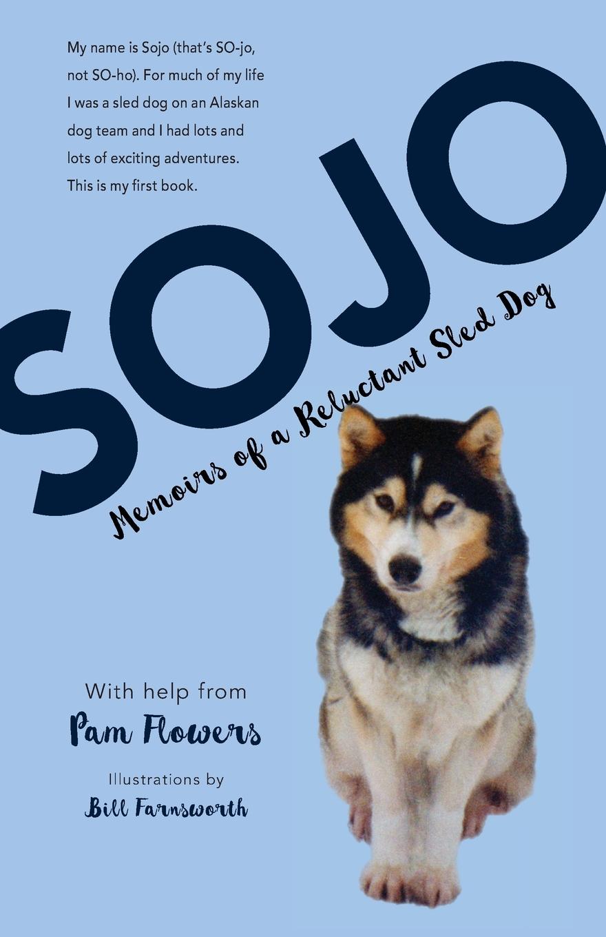 Vorderes Coverbild Sojo