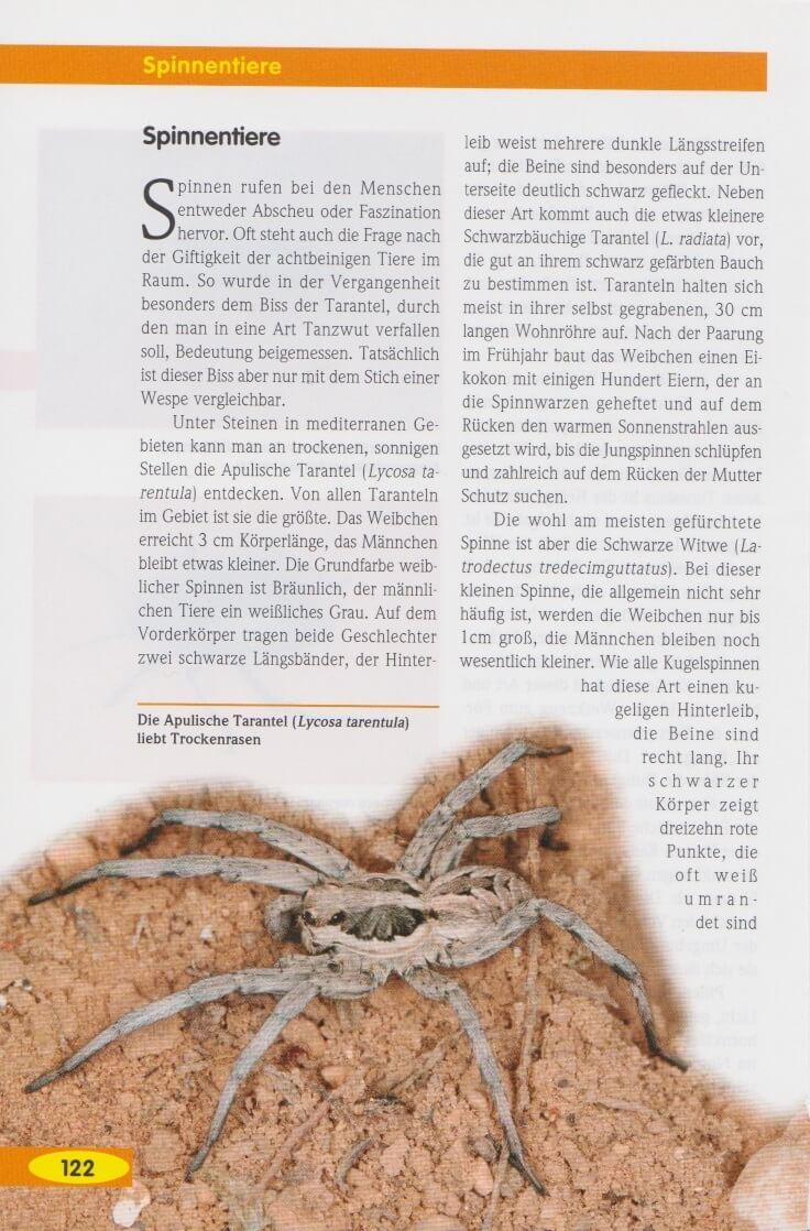 Beispielinhalt (Bild) Tunesien