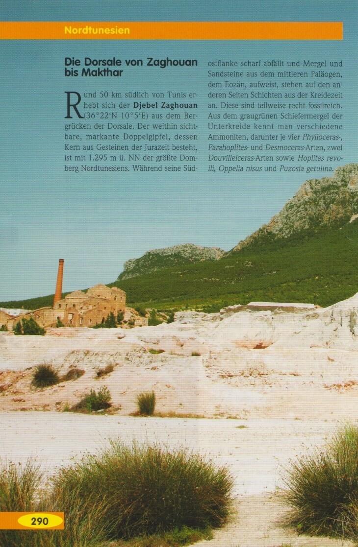 Beispielinhalt (Bild) Tunesien