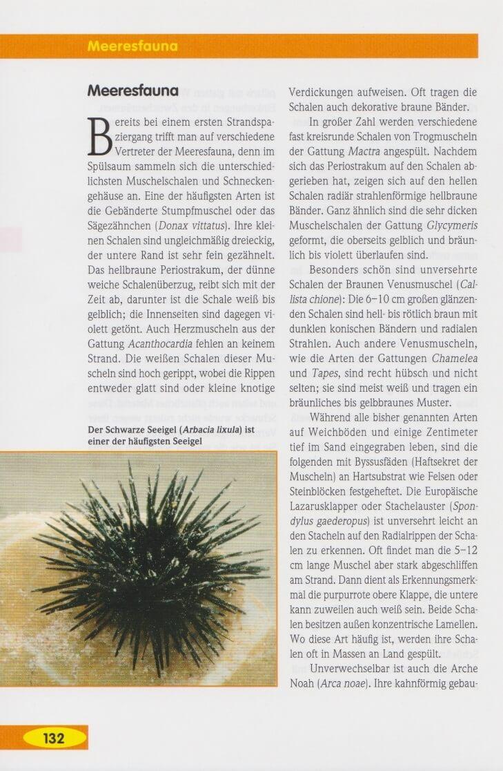 Beispielinhalt (Bild) Tunesien