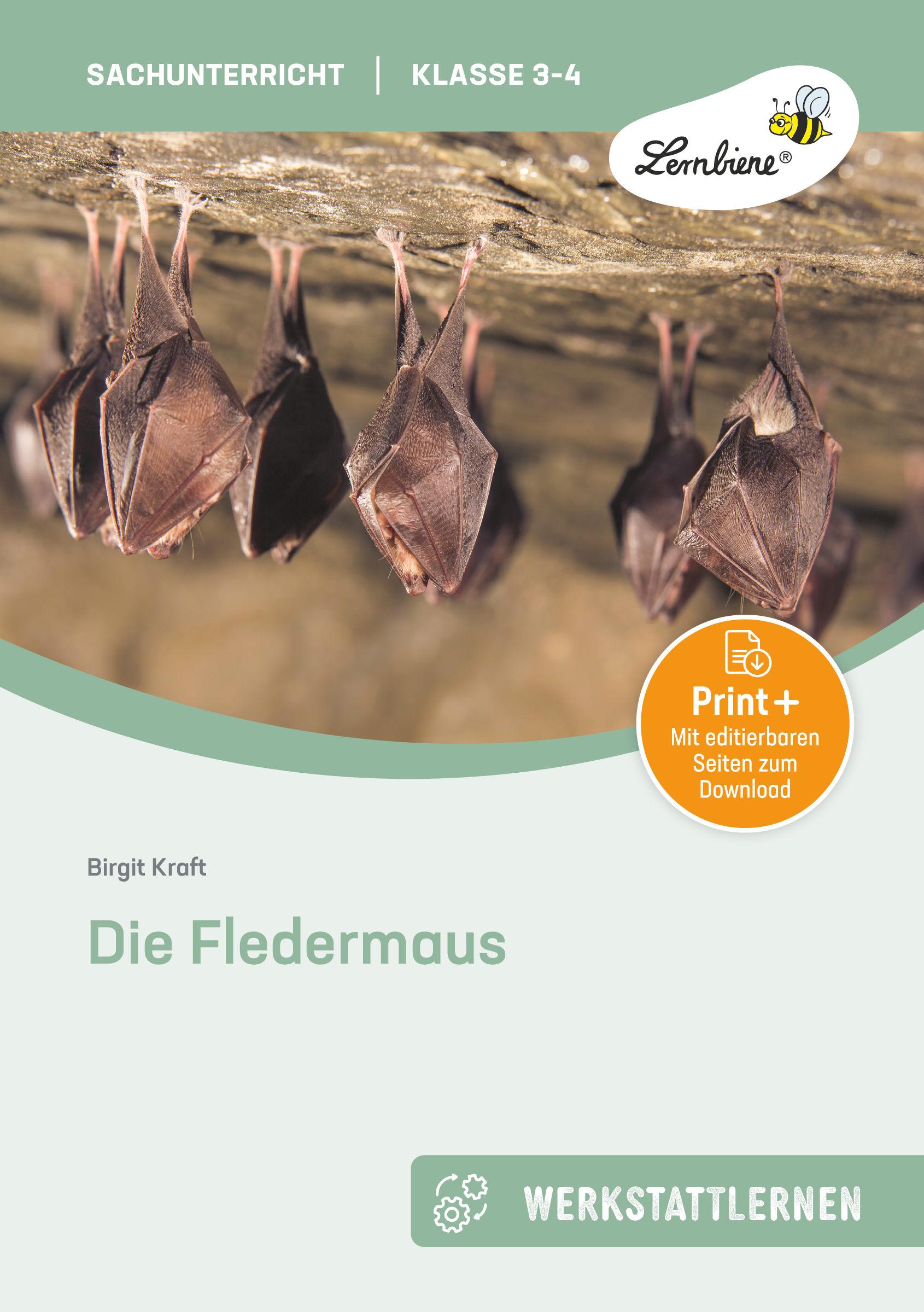 Vorderes Coverbild Die Fledermaus (Set)