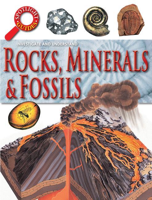 Vorderes Coverbild Rocks, Minerals & Fossils