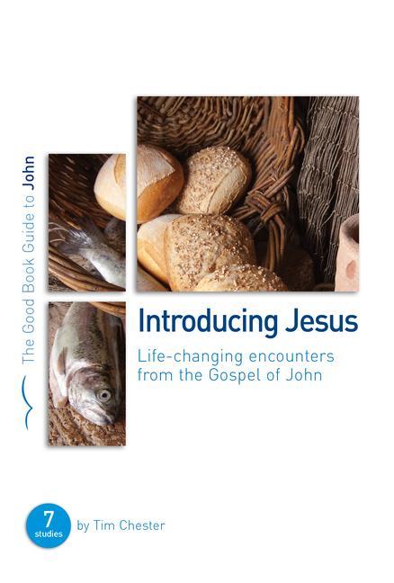 Vorderes Coverbild John: Introducing Jesus