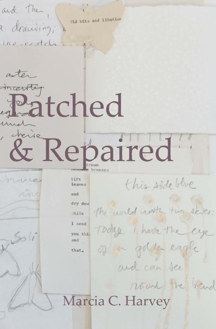 Vorderes Coverbild Patched & Repaired