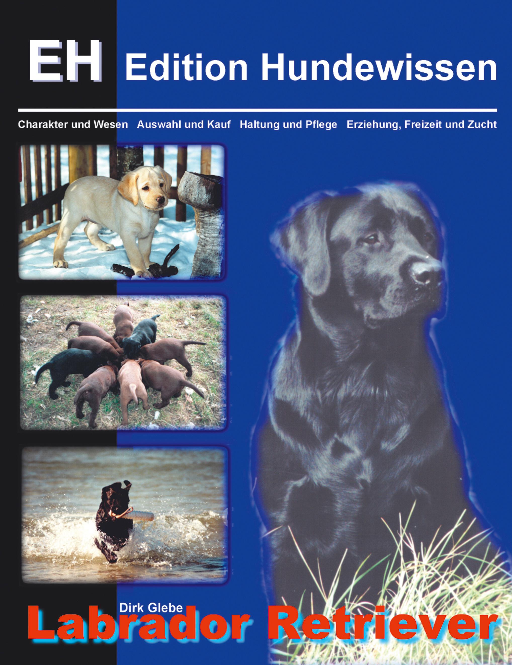 Vorderes Coverbild Labrador Retriever