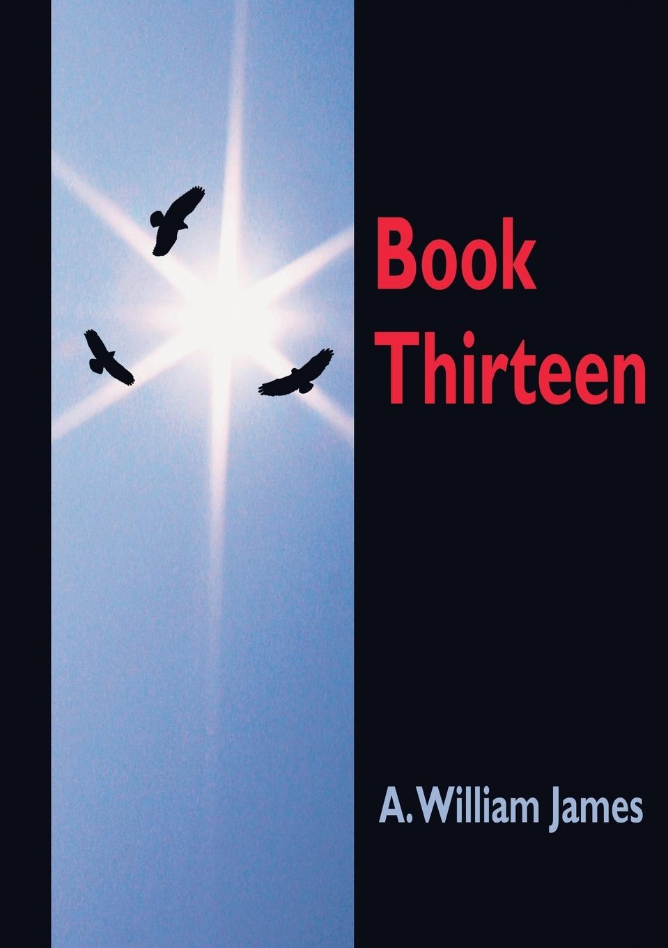 Vorderes Coverbild Book Thirteen