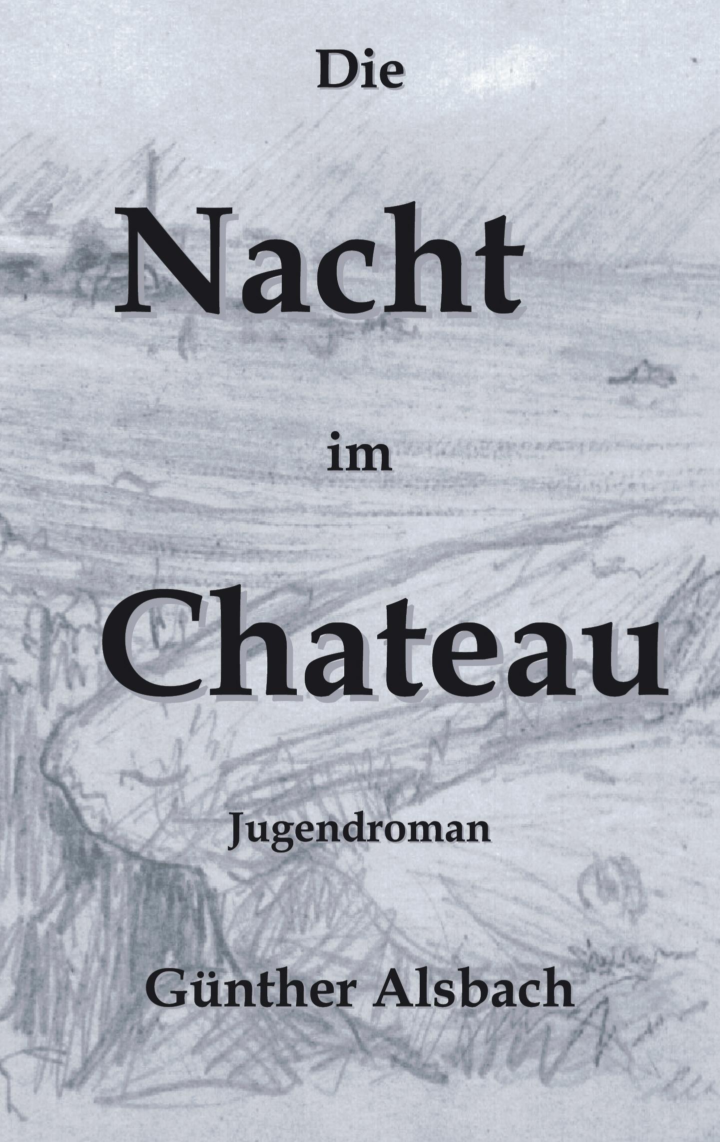 Vorderes Coverbild Die Nacht im Chateau