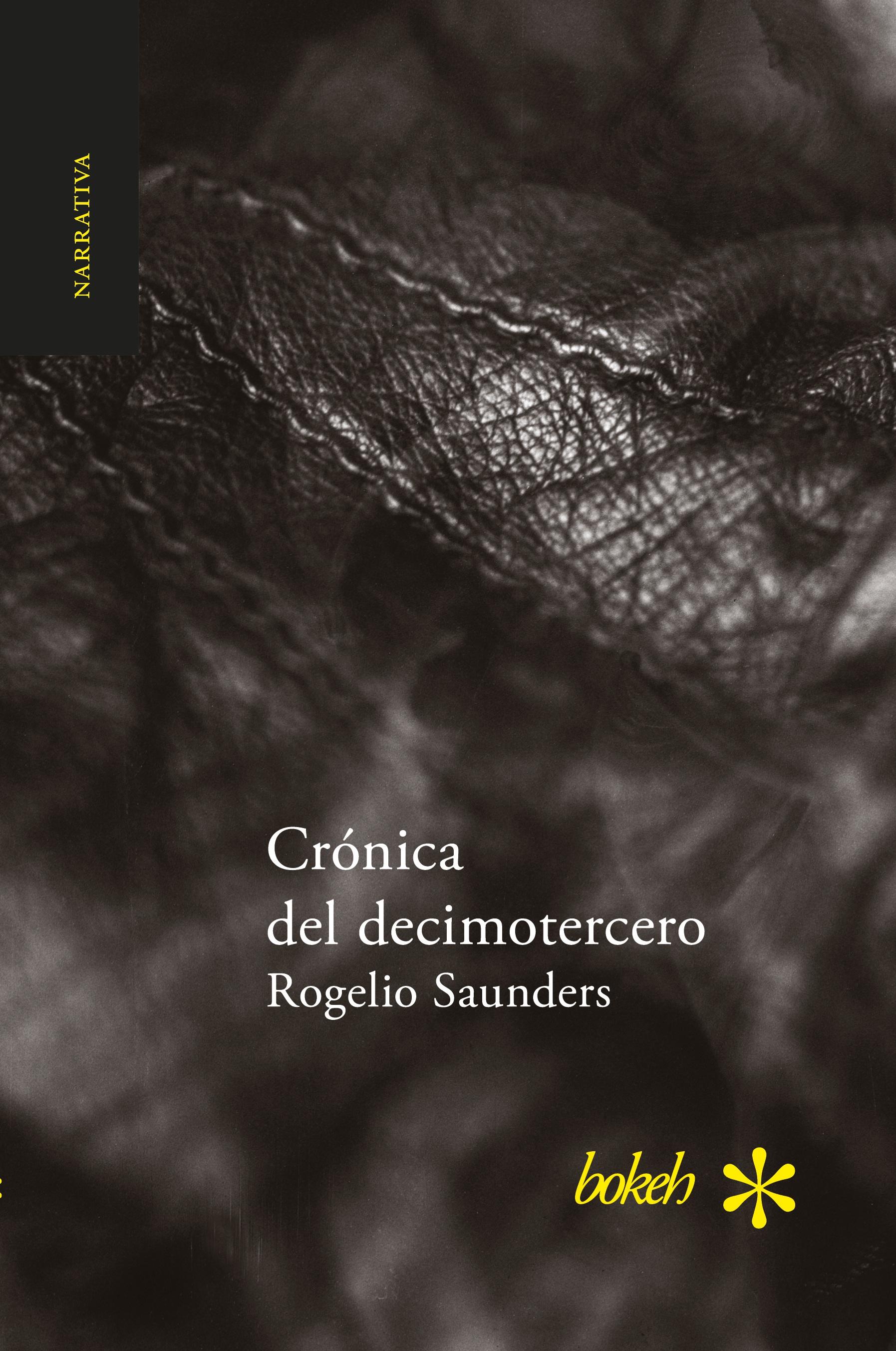 Vorderes Coverbild Crónica del decimotercero