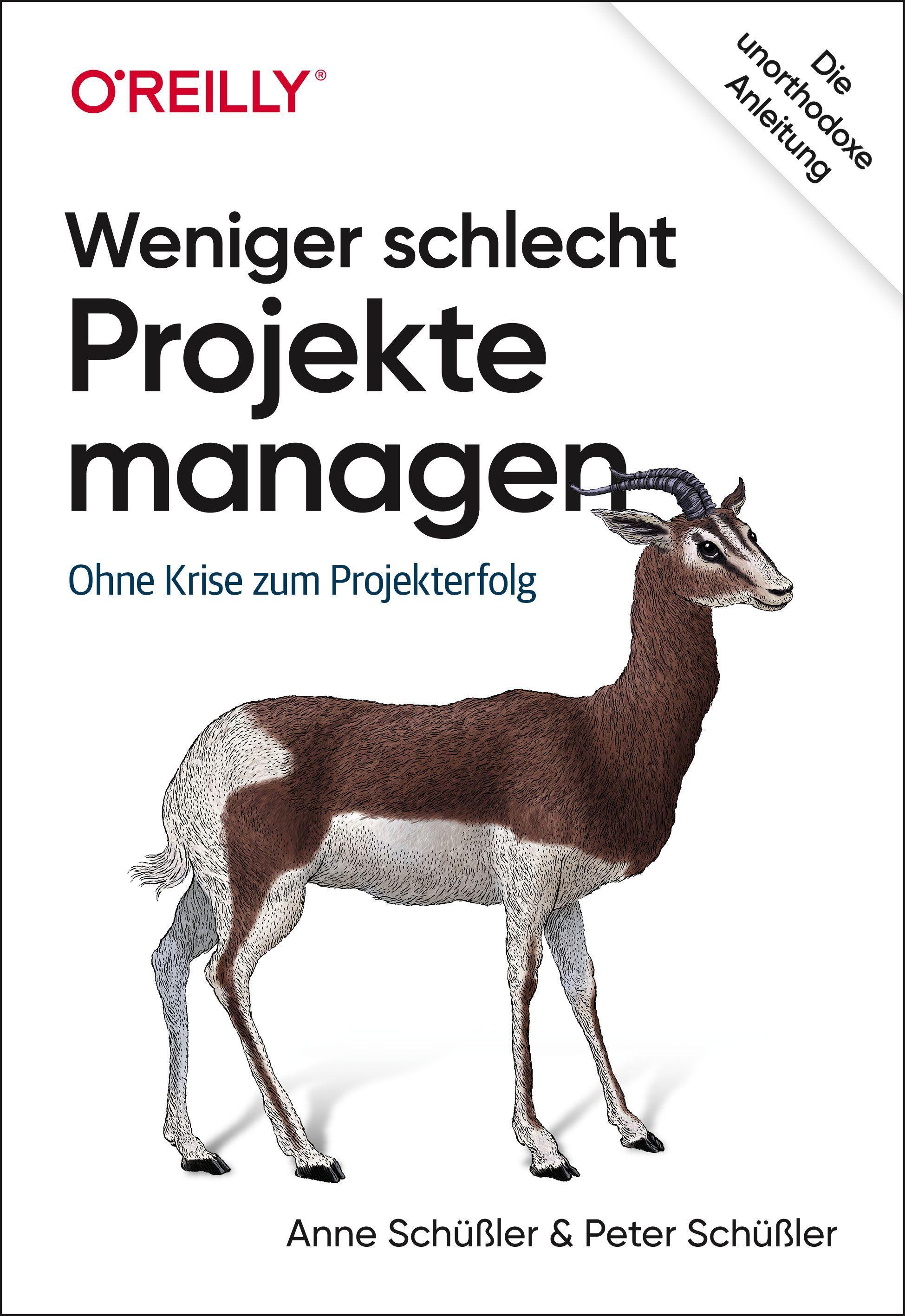 Vorderes Coverbild Weniger schlecht Projekte managen