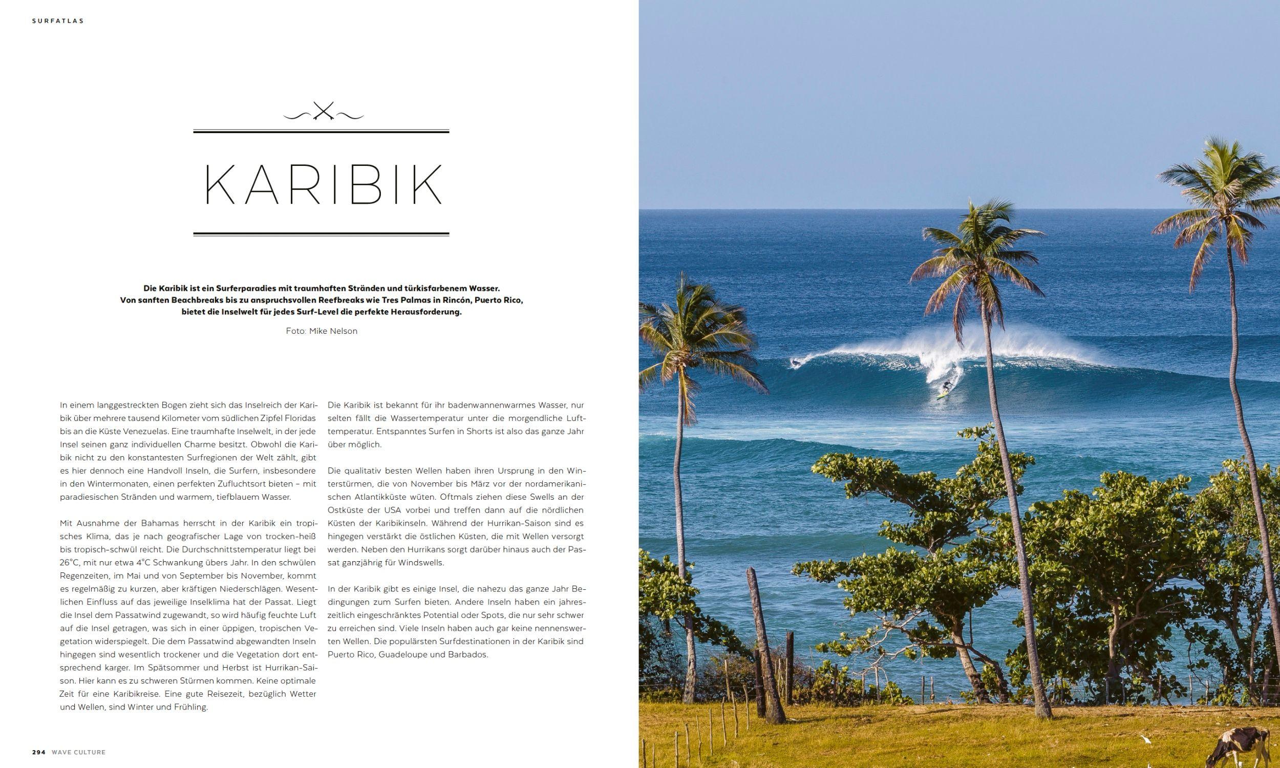 Beispielinhalt (Bild) WAVE CULTURE Surfcoach