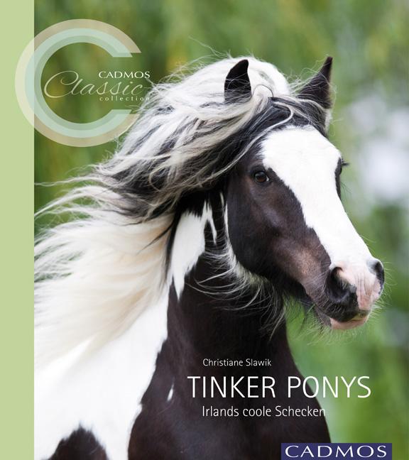 Vorderes Coverbild Tinker Ponys