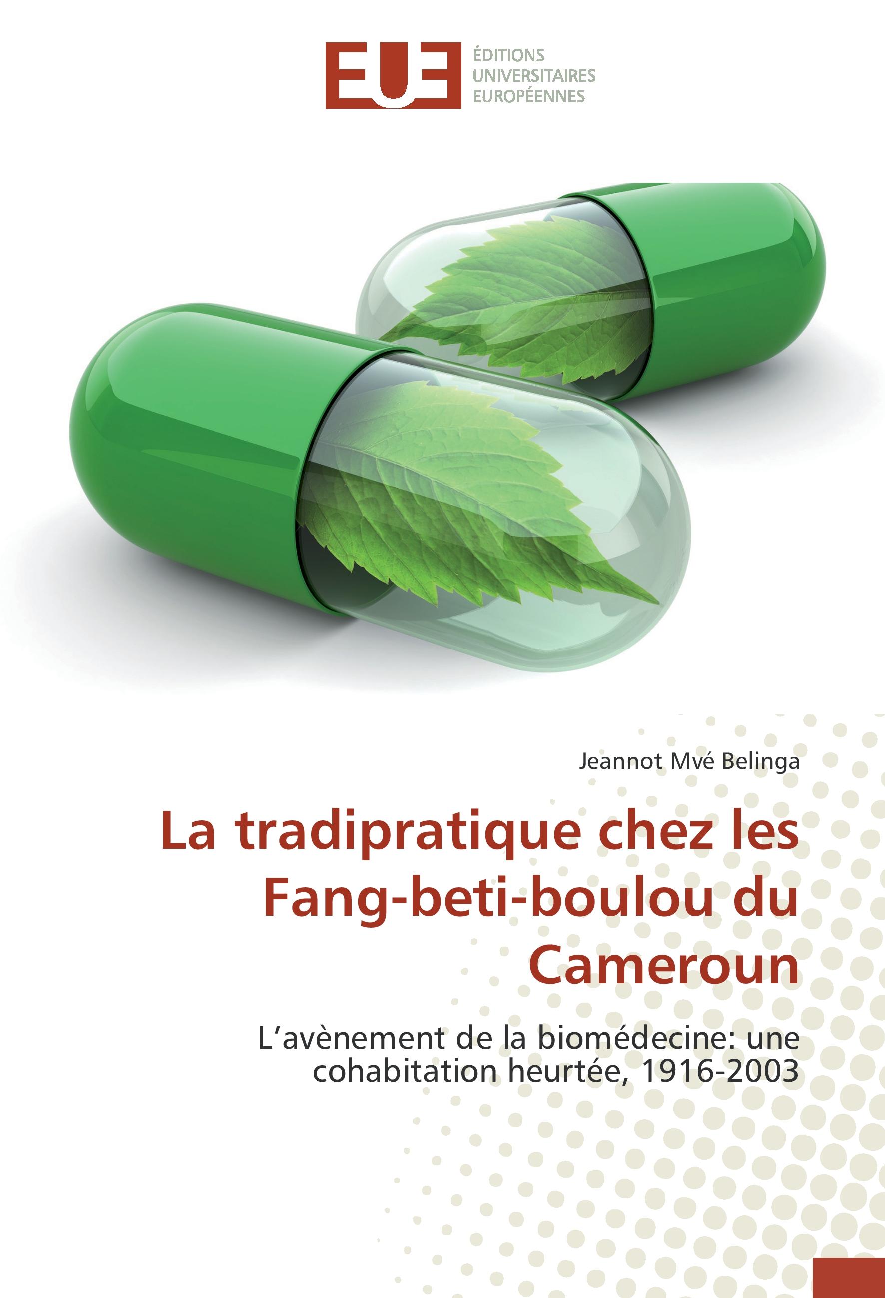 Vorderes Coverbild La tradipratique chez les Fang-beti-boulou du Cameroun