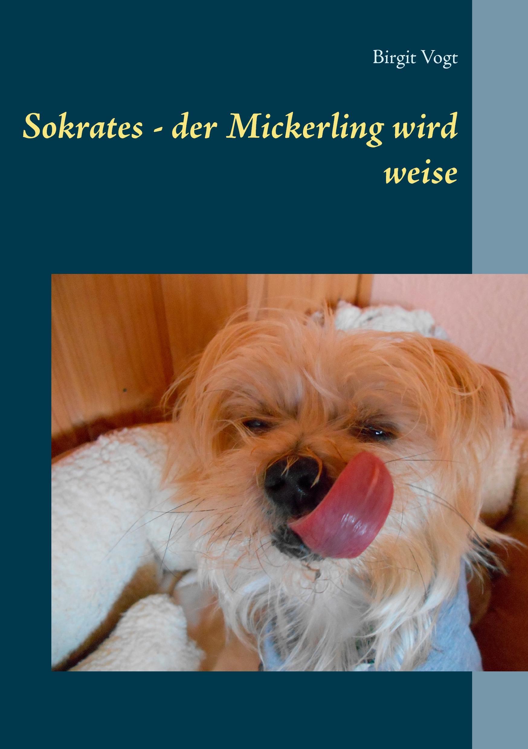 Vorderes Coverbild Sokrates - der Mickerling wird weise