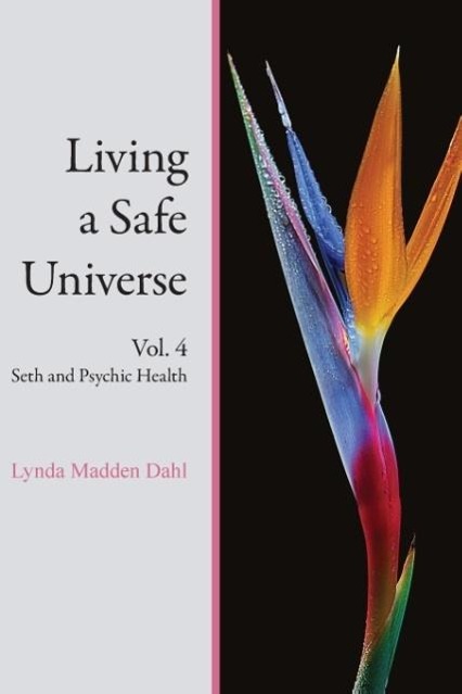 Vorderes Coverbild Living a Safe Universe, Vol. 4