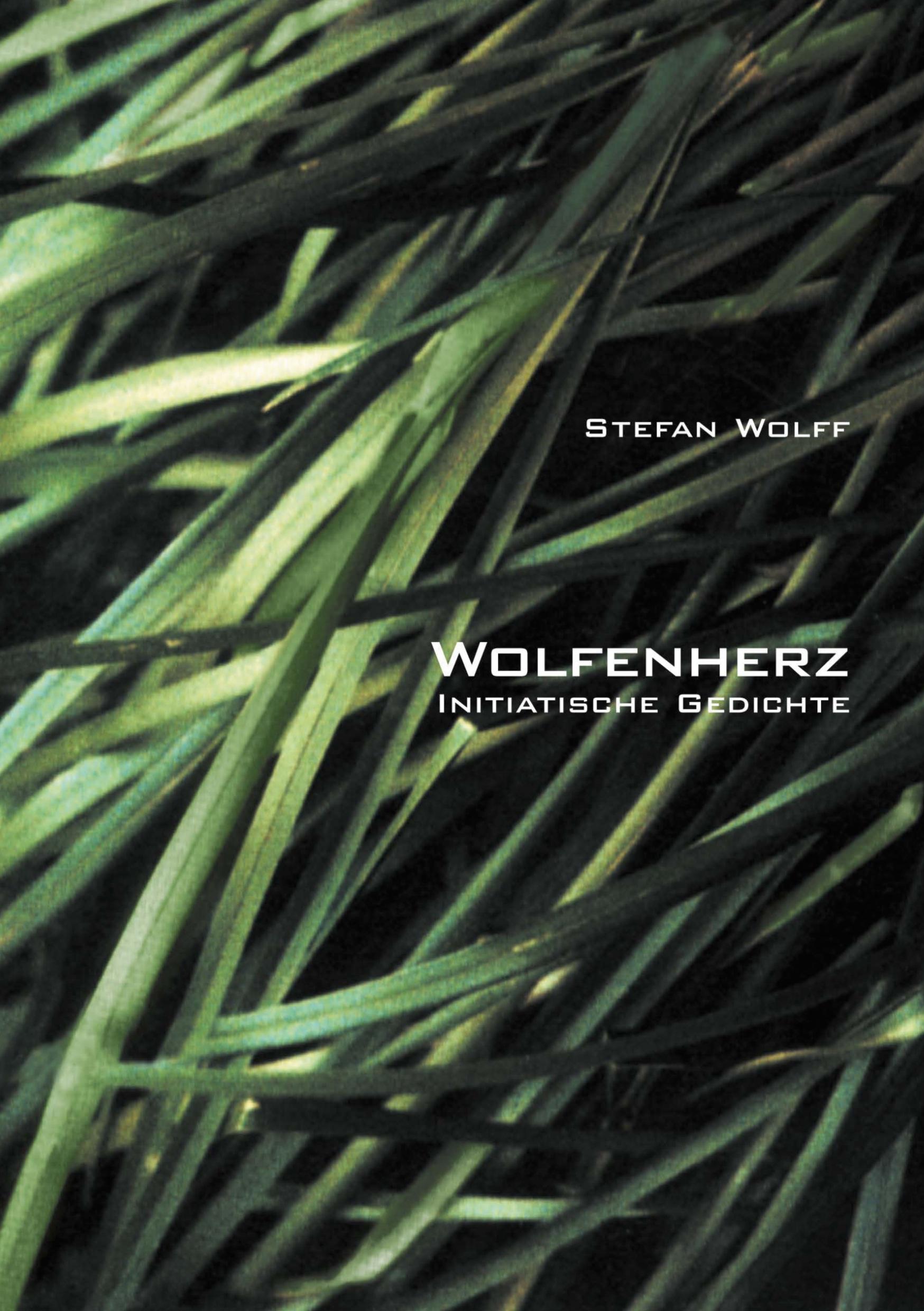 Vorderes Coverbild Wolfenherz