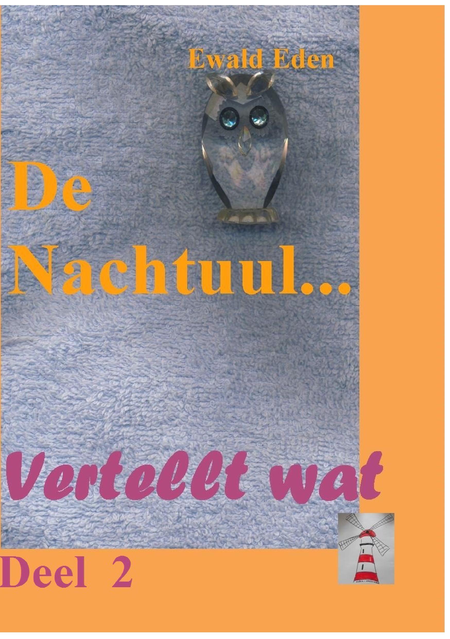 Vorderes Coverbild De Nachtuul
