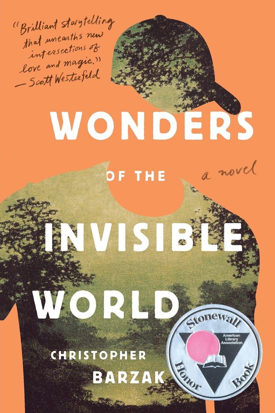 Vorderes Coverbild Wonders of the Invisible World