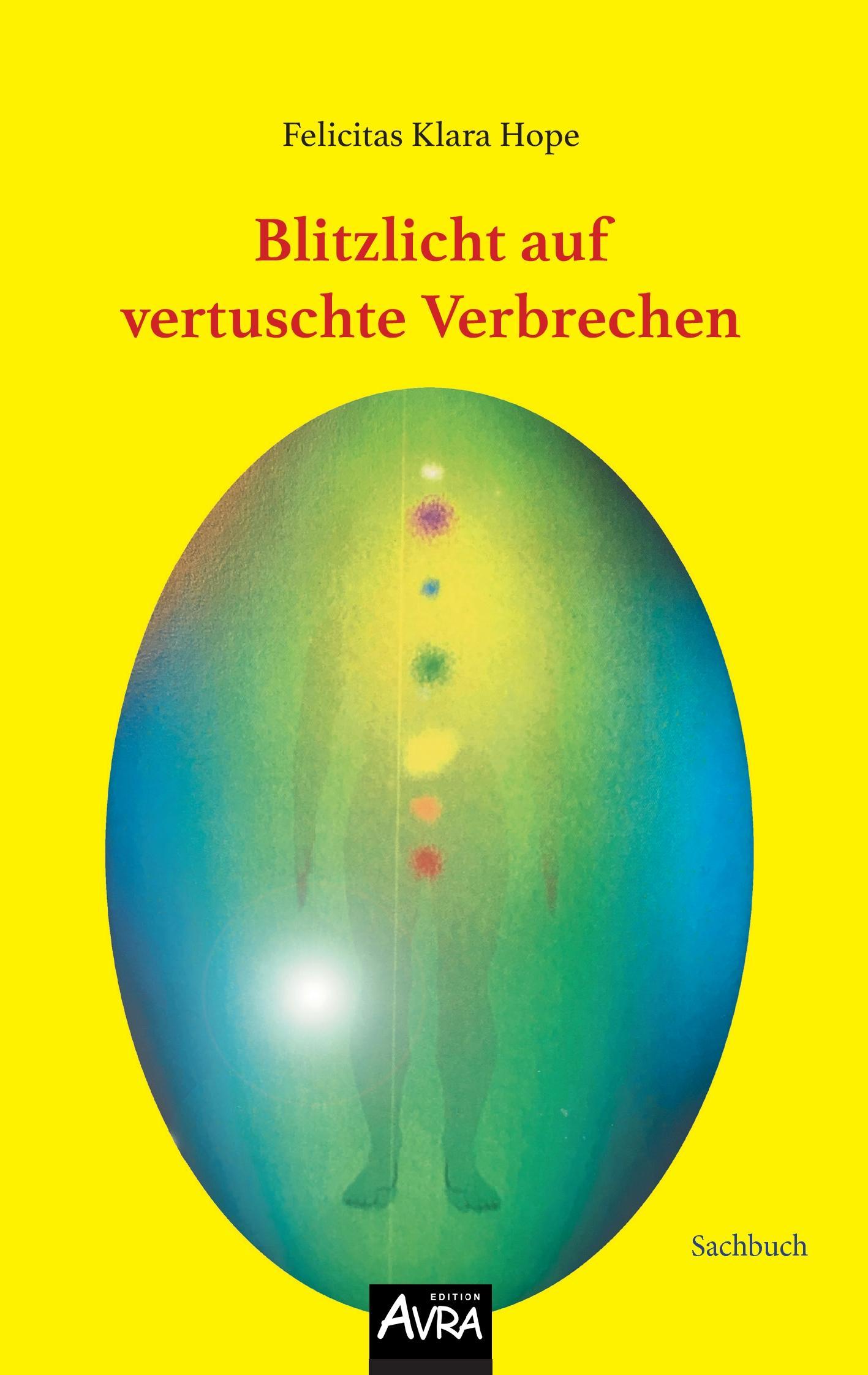 Vorderes Coverbild Blitzlicht auf  vertuschte Verbrechen