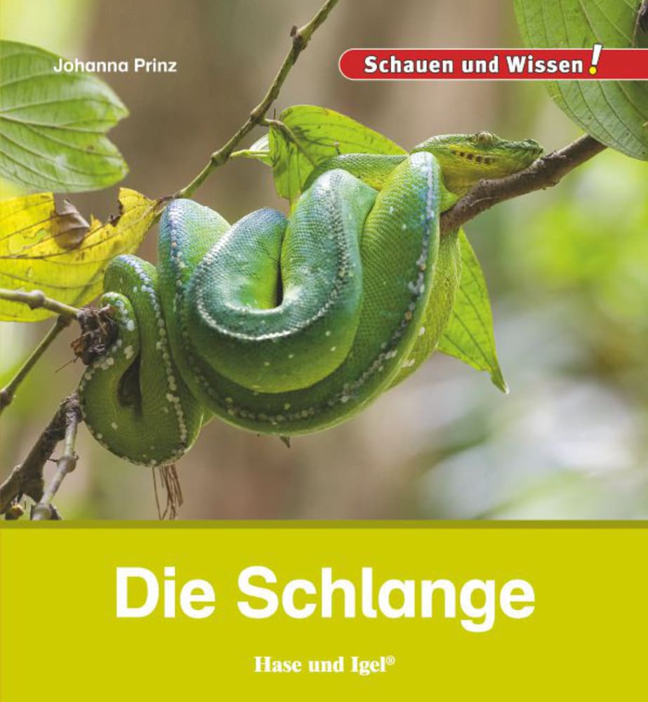 Vorderes Coverbild Die Schlange