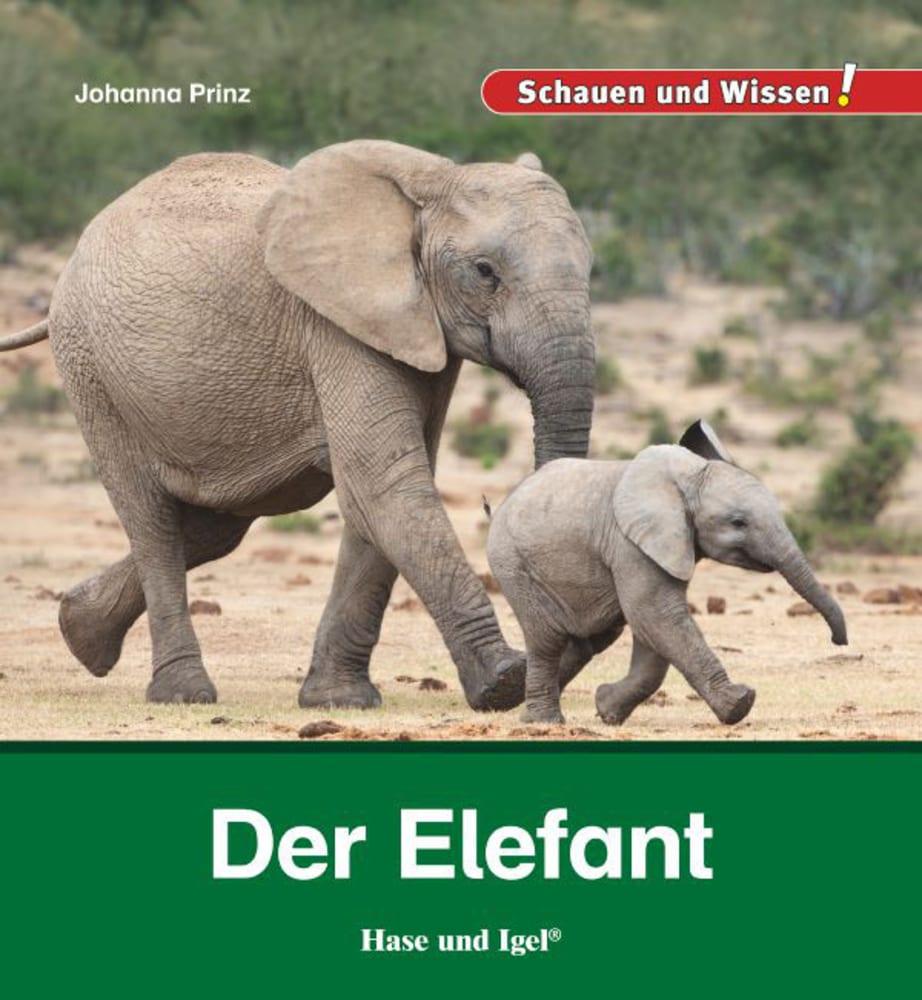 Vorderes Coverbild Der Elefant