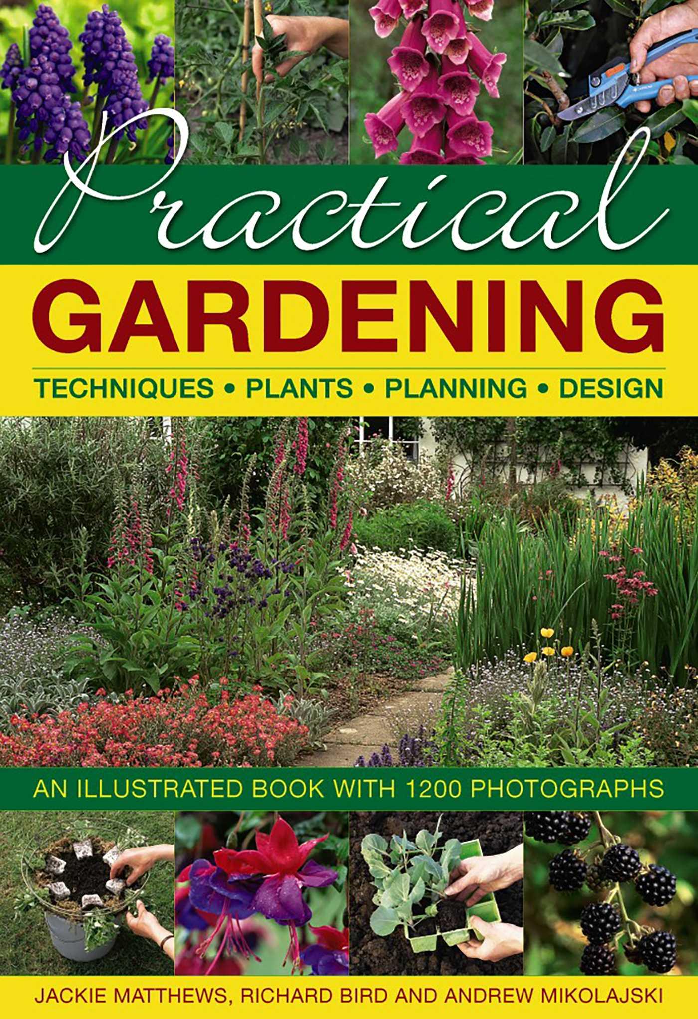 Vorderes Coverbild Practical Gardening