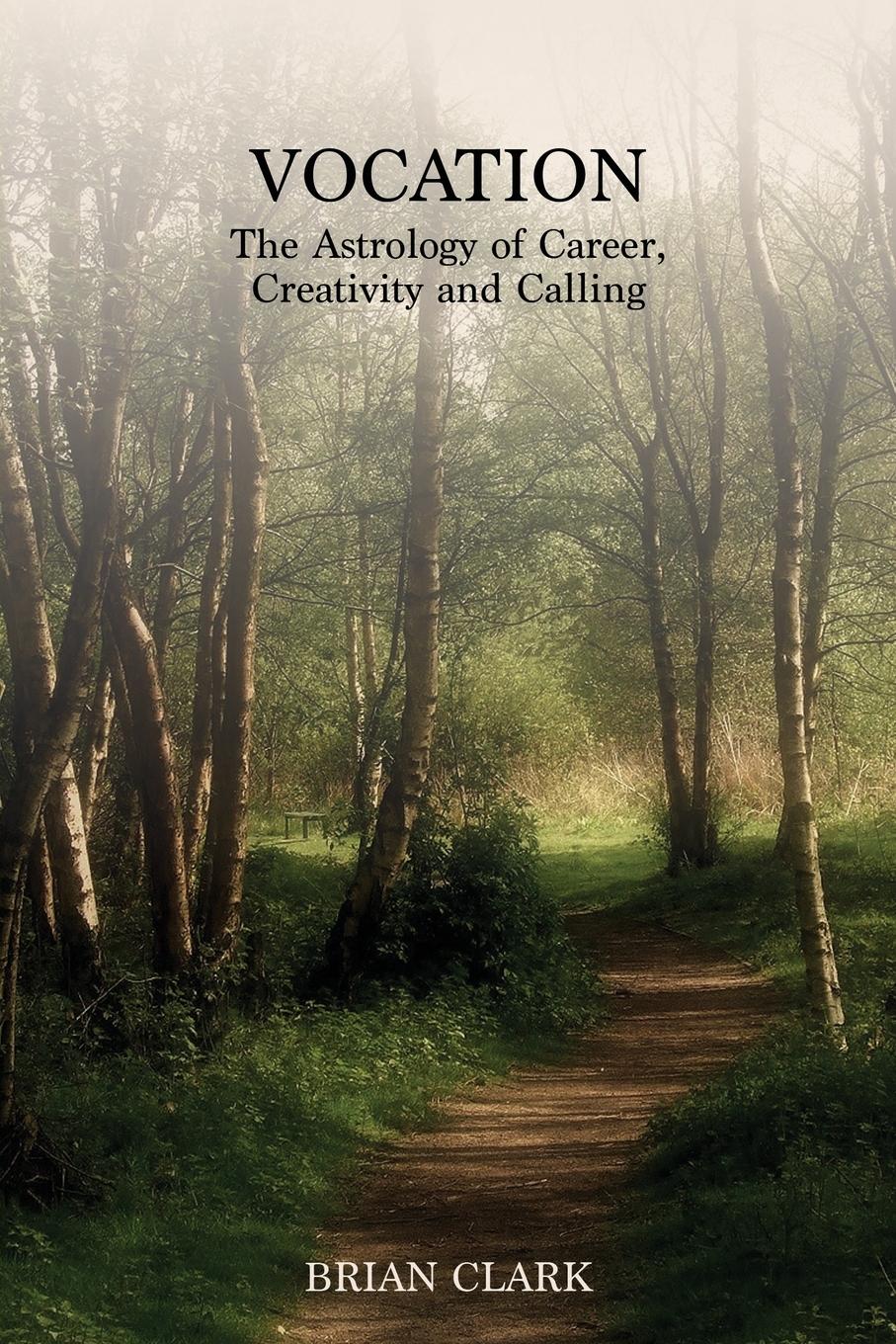 Vorderes Coverbild Vocation: The Astrology of Career, Creativity and Calling