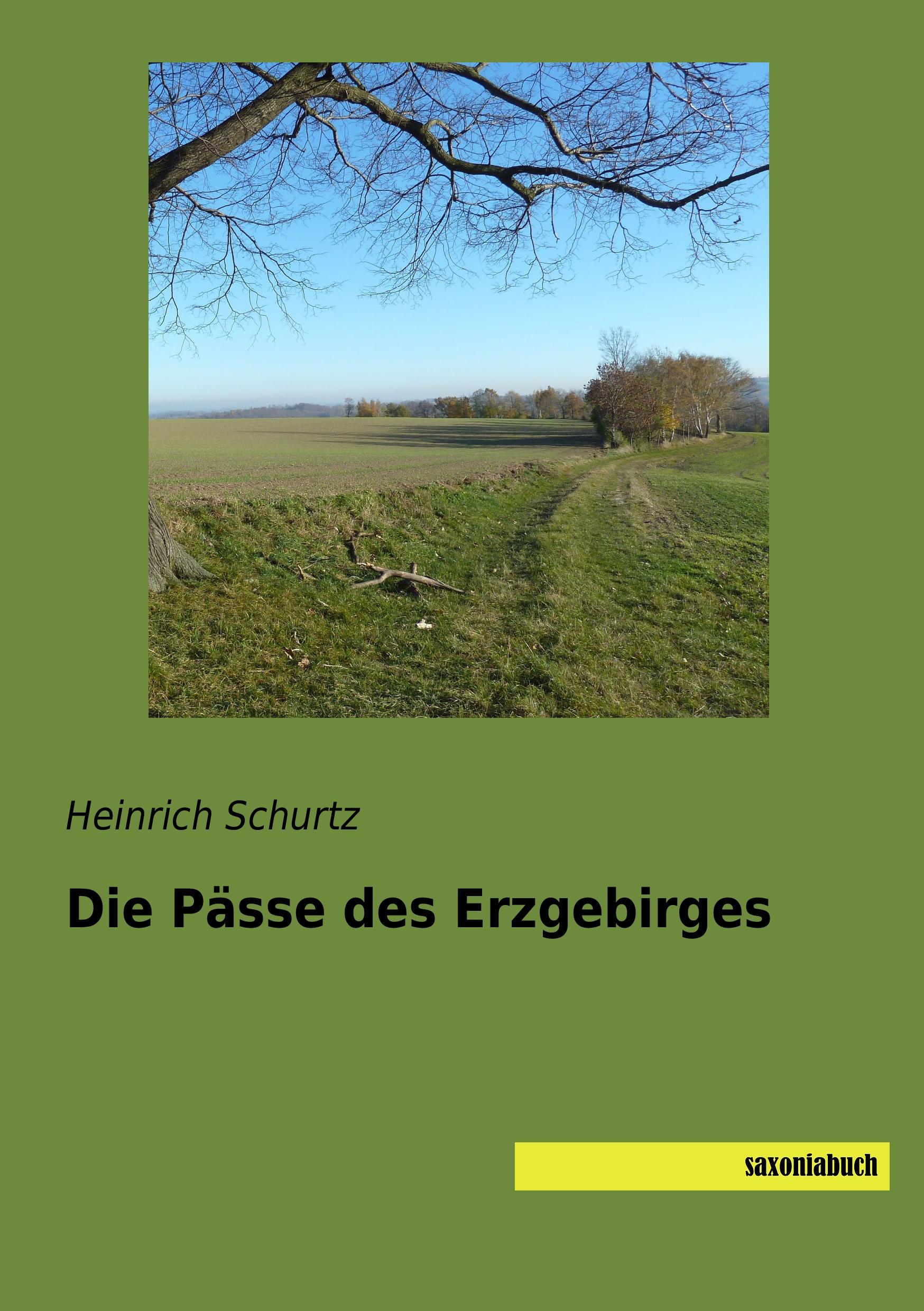 Vorderes Coverbild Die Pässe des Erzgebirges
