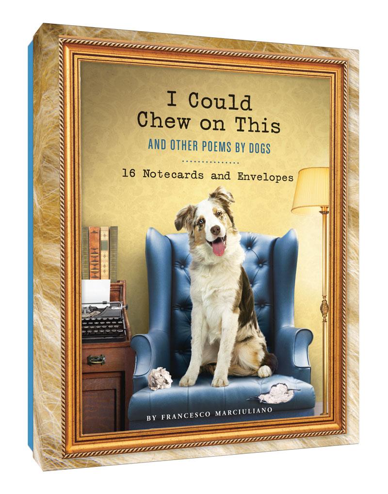 Vorderes Coverbild I Could Chew on This