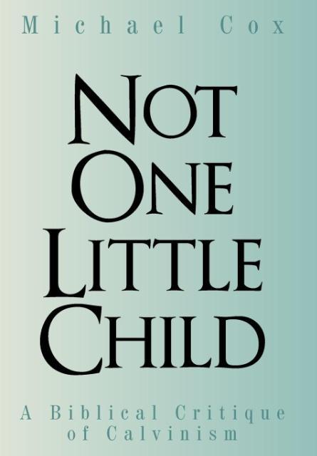 Vorderes Coverbild Not One Little Child