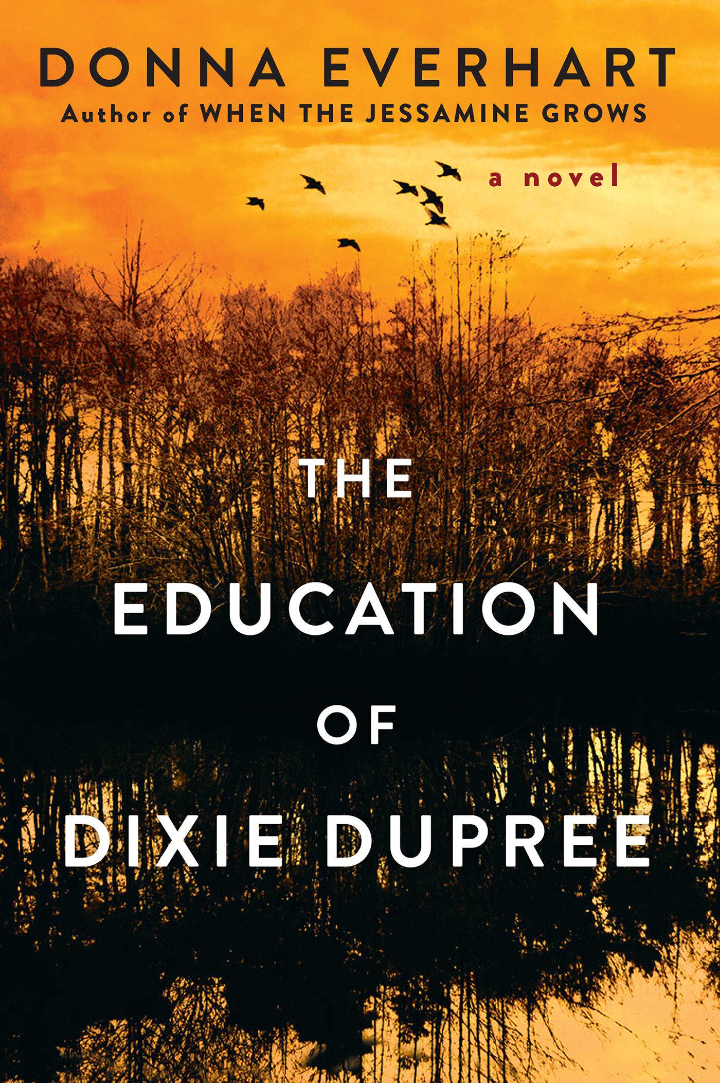 Vorderes Coverbild The Education of Dixie Dupree