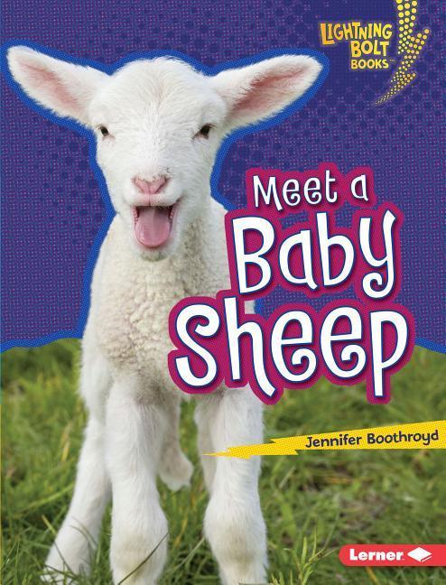 Vorderes Coverbild Meet a Baby Sheep
