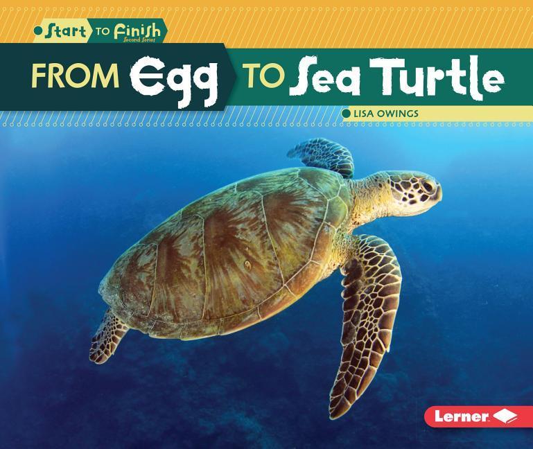 Vorderes Coverbild From Egg to Sea Turtle