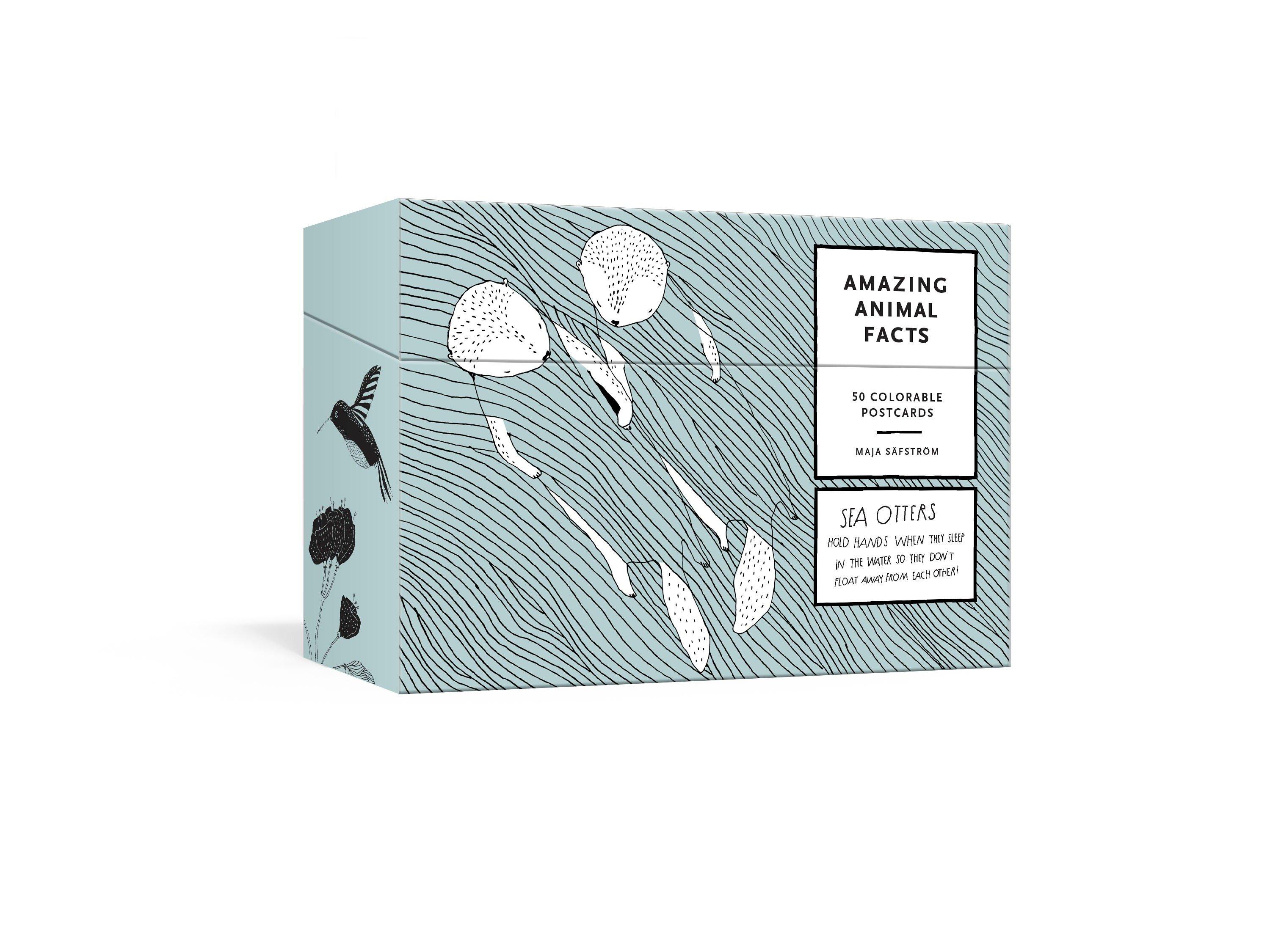 Vorderes Coverbild Amazing Animal Facts Postcards