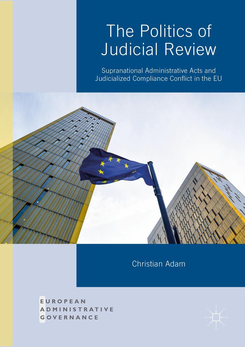 Vorderes Coverbild The Politics of Judicial Review